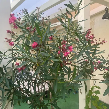 Monpe Apartmanik S Atmosferou דירה Komárno