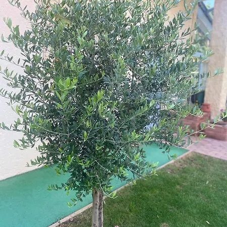 Lejlighed Monpe Apartmanik S Atmosferou